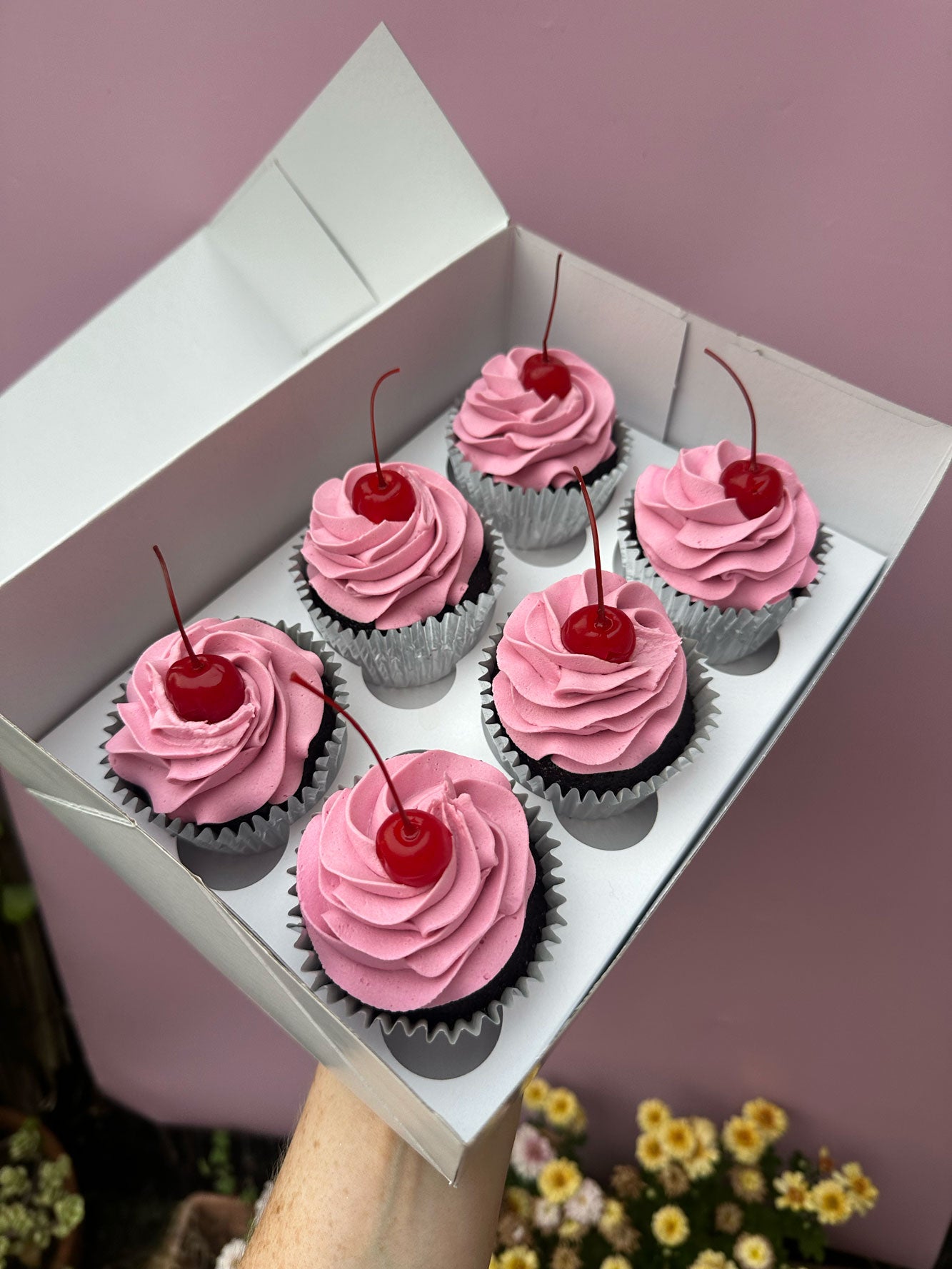 Valentine's Day - Kiss Me Cupcakes
